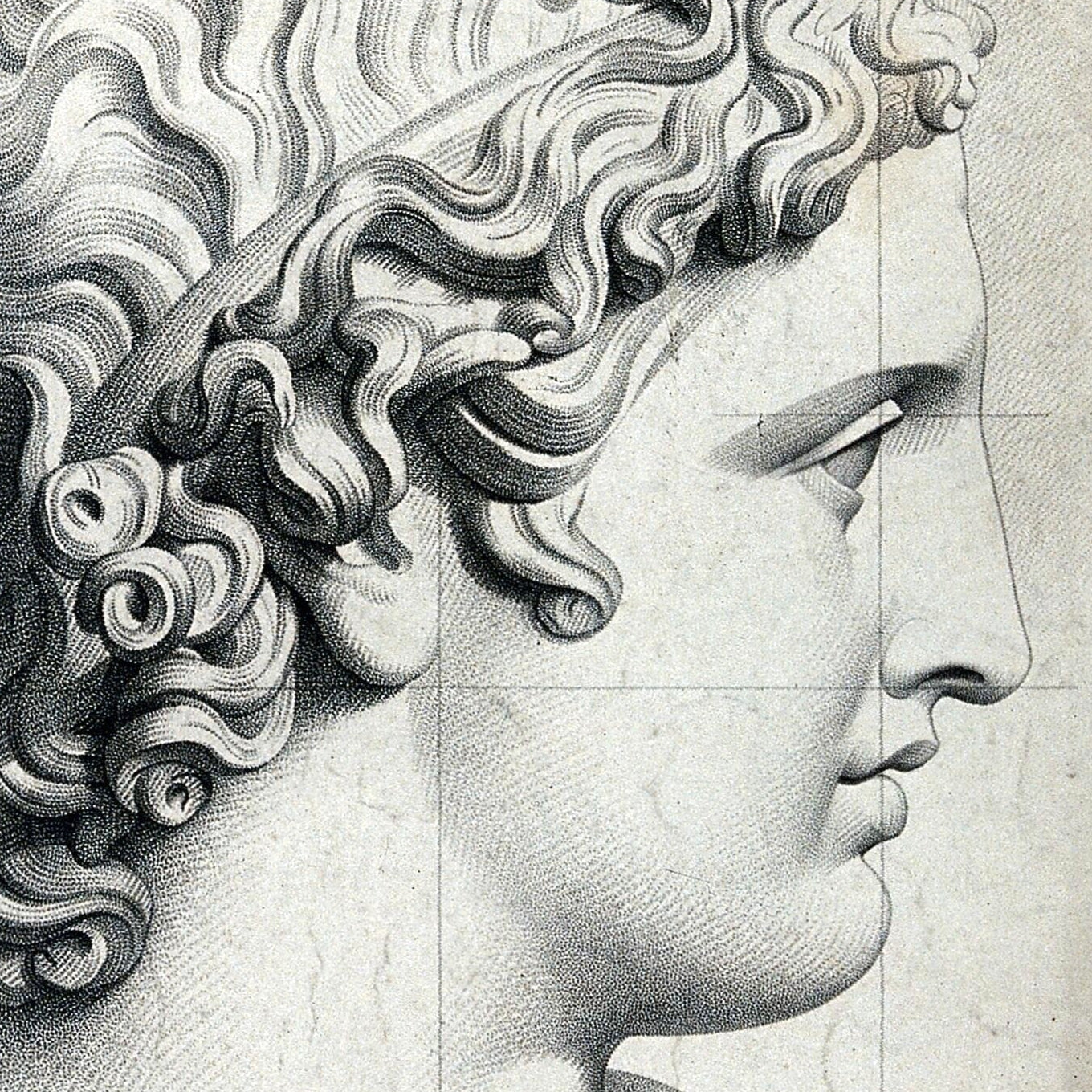 Apollo Belvedere - Canvas Wrap