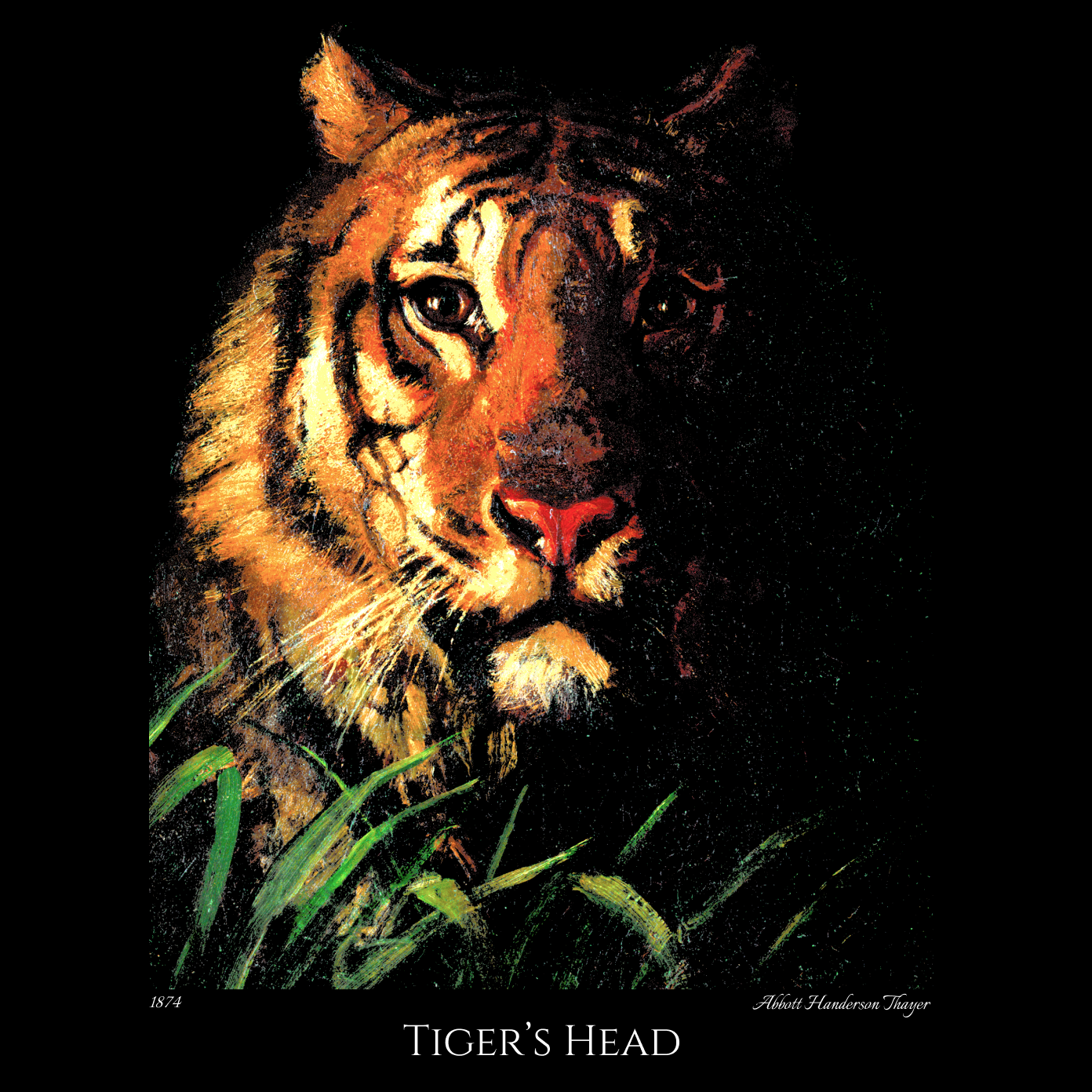 Tiger's Head - Fine Art T-shirt