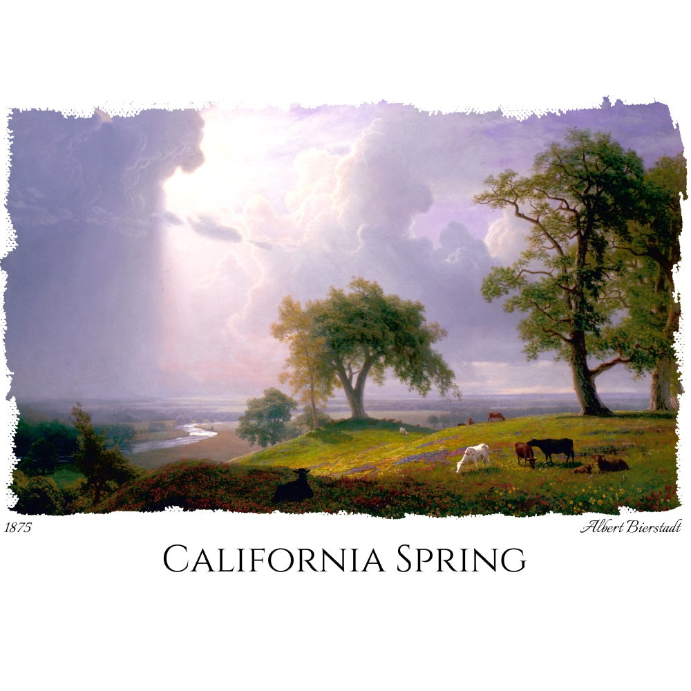 California Spring - Fine Art T-Shirt