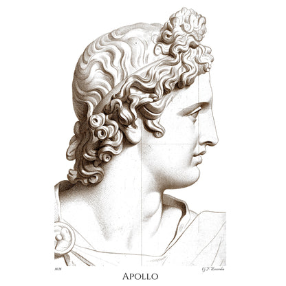 Apollo - Fine Art T-Shirt