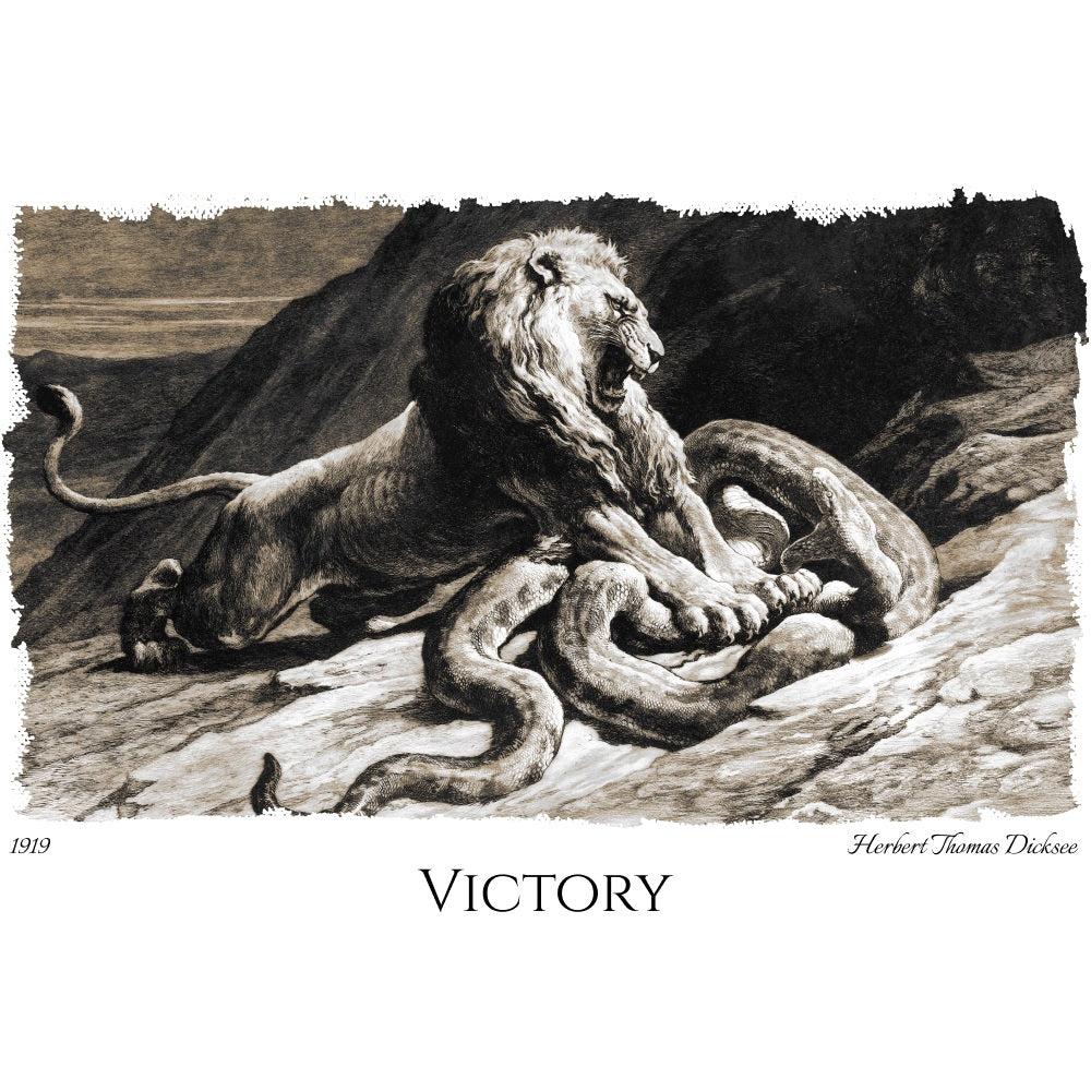 Victory - Fine Art T-Shirt