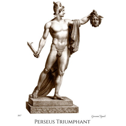 Perseus Triumphant - Fine Art T-Shirt