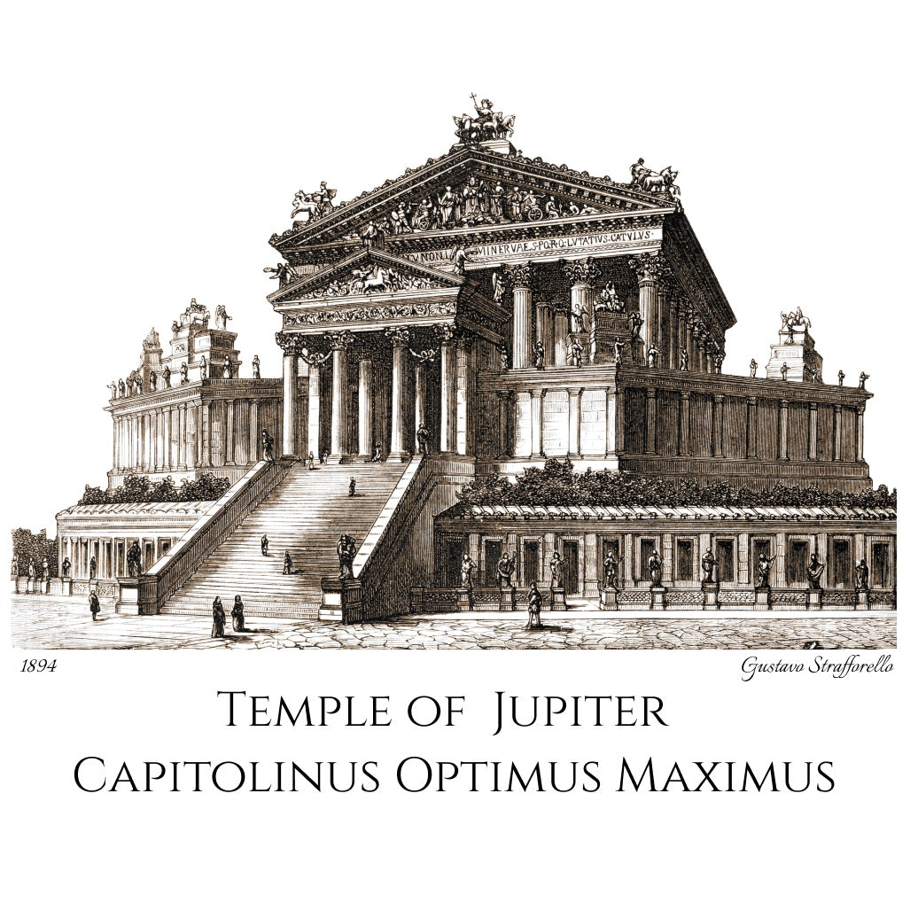 Temple of Jupiter - Fine Art T-Shirt