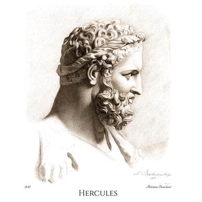 Bust of Hercules - Fine Art T-Shirt