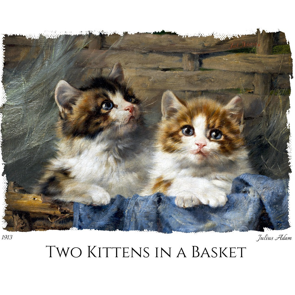 Two Kittens in a Basket - Fine Art T-Shirt