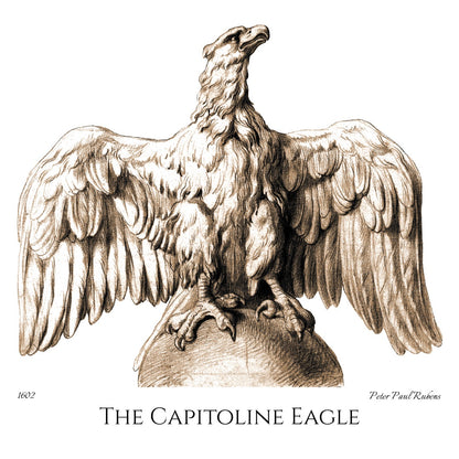 The Capitoline Eagle - Fine Art T-Shirt