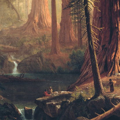 Giant Redwood Trees of California - Canvas Wrap