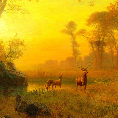 Light in the Forest - Canvas Wrap