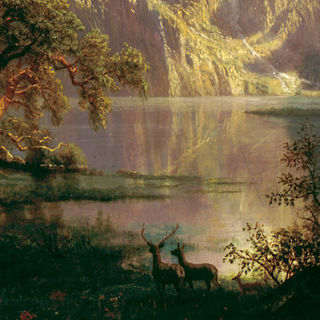 Rocky Mountain Landscape