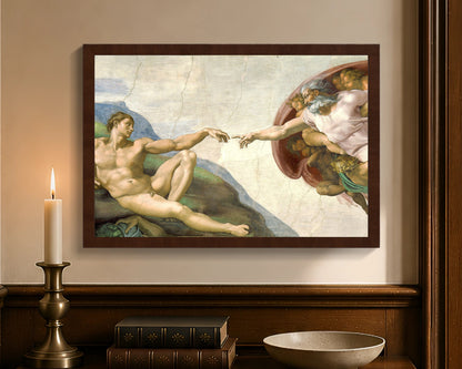 creation of adam fc 12x18 brown