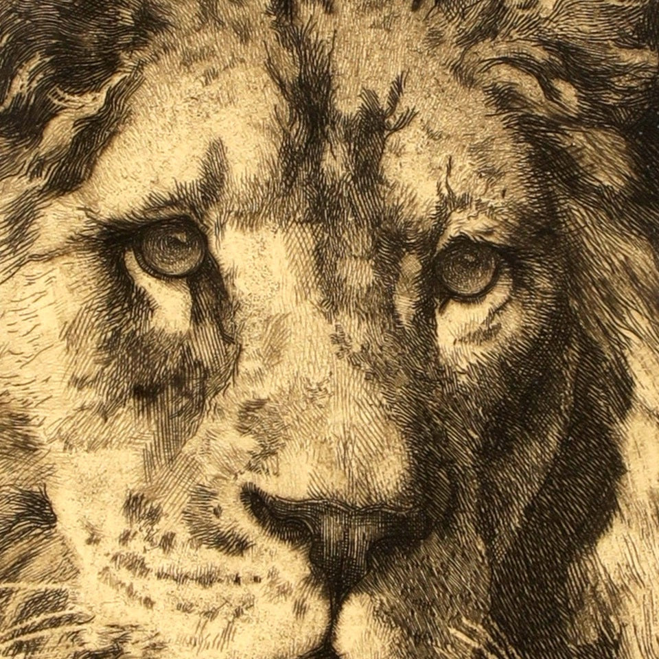 His Royal Highness - Canvas Wrap