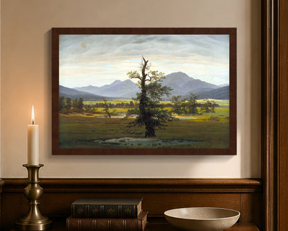 lone tree fc 12x18 brown