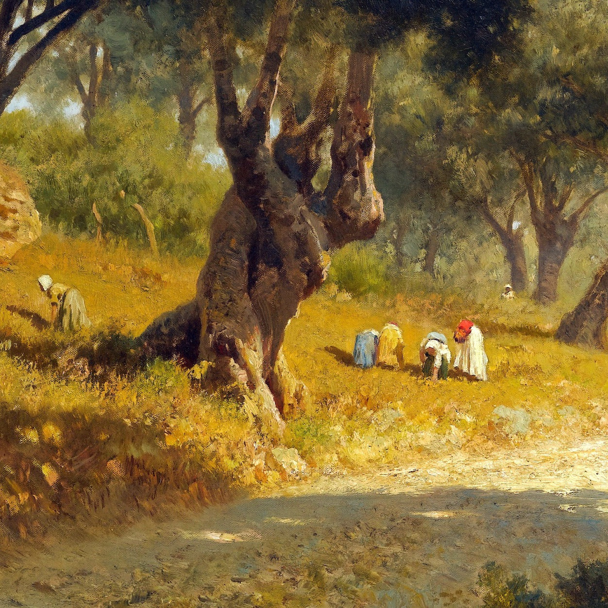 Poppies and Olive Trees