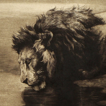 Solitude - Canvas Wrap