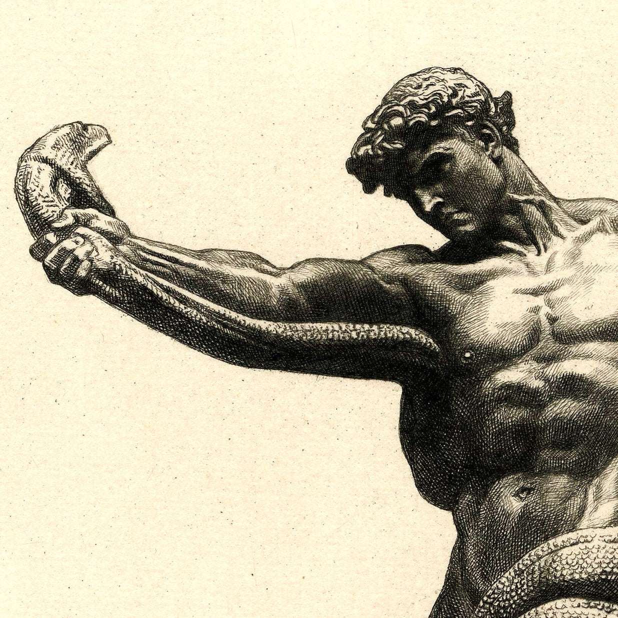 The Athlete Wrestling a Python - Canvas Wrap