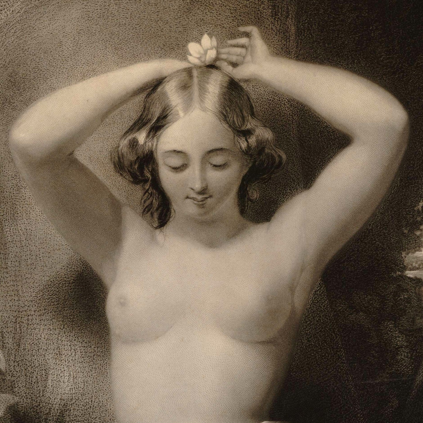 Wood Nymph - Canvas Wrap